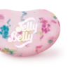 Bulk Jelly Belly Tutti Frutti Jelly Beans 1kg - 4kg